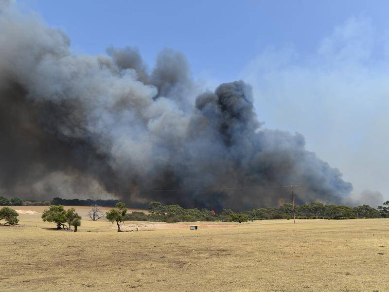 Townships have been evacuated on SA's Kangaroo Island where fire has burned 160,000 hectares.