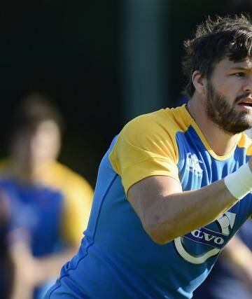 Injury doubt: Adam Ashley-Cooper sat out training on Tuesday with his knee iced.