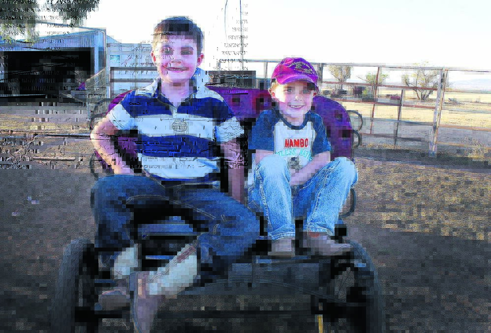BROTHERS: Angus and Harrison Redgwell are typical country kids with a misson. Pic Jillian Doyle