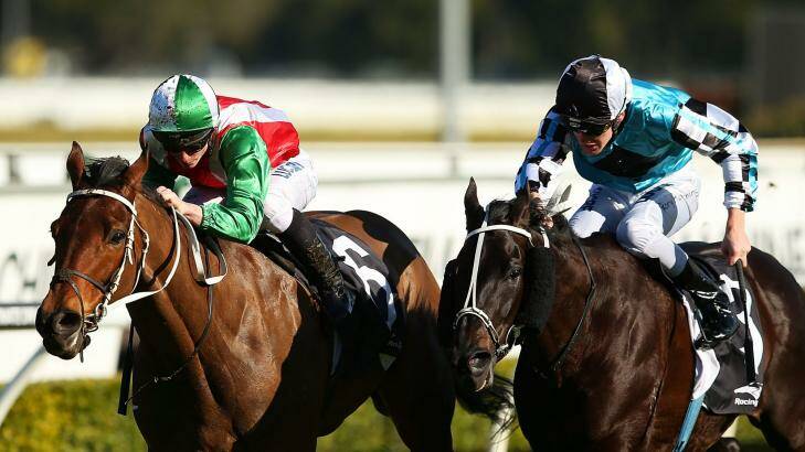 One step closer: James McDonald scores on Reigning at Randwick to catch Nash Rawiller in the Sydney jockeys’ premiership.  Photo: Brendon Thorne/Getty Images