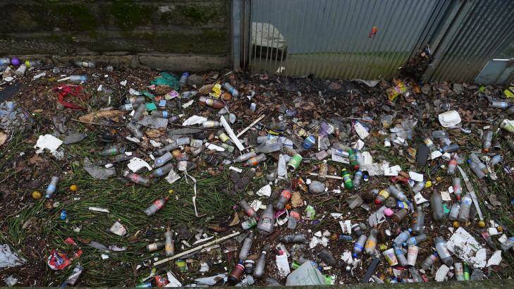 Litter bug: Rubbish along the Cooks RIver ... a container deposit scheme would reduce waste in the environment, the groups say. Photo: Ann Leahy