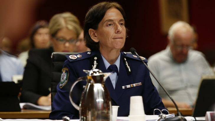 NSW police Deputy Commissioner Catherine Burn gives evidence at the  inquiry. Photo: Peter Rae