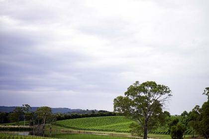 The Adelaide Hills. Photo: John Laurie
