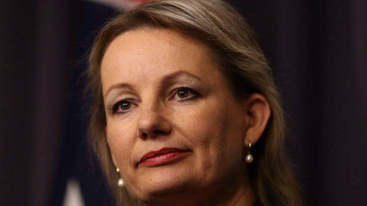 Health Minister Sussan Ley. Photo: Andrew Meares