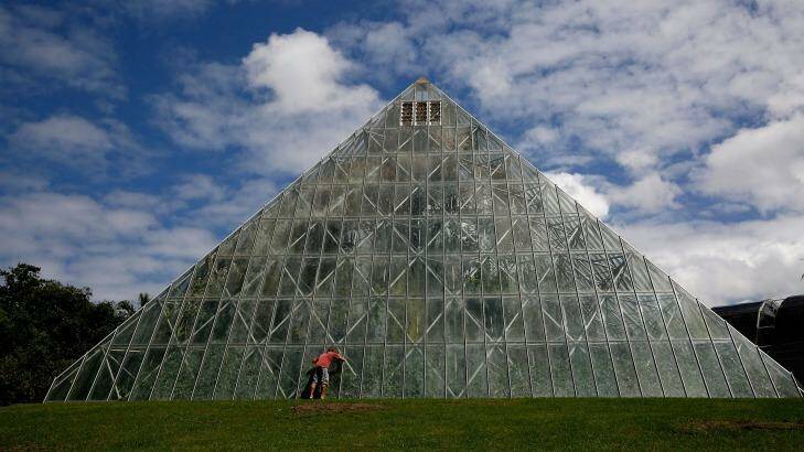 A by passer looks into the tropical pyramid at the Royal Botanic Gardens in Sydney. Photo: Michele Mossop