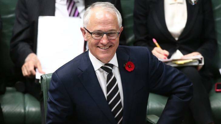 Malcolm Turnbull's government is opposing a plan that would limit public financing of coal power to only the "cleanest" plants available. Photo: Andrew Meares