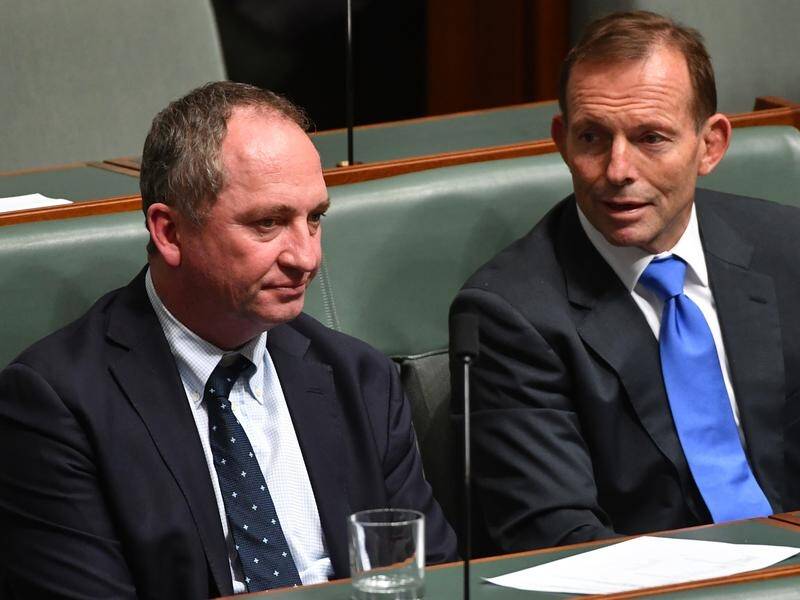 Malcolm Turnbull's poll results must improve by Christmas, Barnaby Joyce and Tony Abbott say.