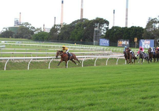 Great ride: Jim Cassidy takes an early lead on Steps In Time  in the Coolmore Classic. Photo: Jenny Evans