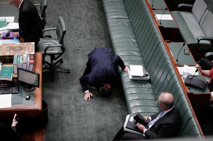 Deputy Prime Minister Barnaby Joyce looks for something under  the frontbench as he arrives for Question Time at Parliament House. Photo: Alex Ellinghausen