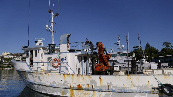 The Dalrymplye fishing vessel is raided at the Brooklyn Marina. Photo: NSW Police Media