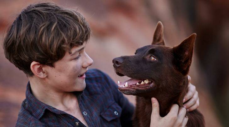 Levi Miller will play Mick, a boy living on a Pilbara cattle station in the 1960s. Photo: Supplied