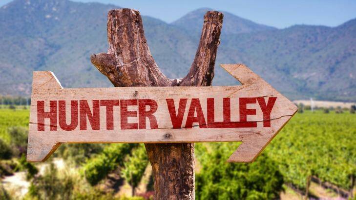 Australia's oldest wine region - Hunter Valley. Photo: iStock