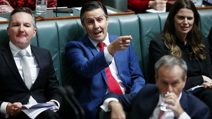 To the point: Shadow Environment Minister Mark Butler (centre) during question time on Tuesday. Photo: Alex Ellinghausen