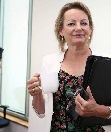 Health Minister Sussan Ley said the location rules and other pharmacy regulation and remuneration arrangements would be reviewed over the next two years. Photo: Alex Ellinghausen
