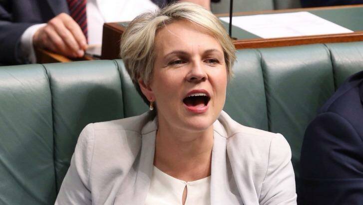 Tanya Plibersek says Labor should change its platform on same-sex marriage at its national conference in July. Photo: Andrew Meares