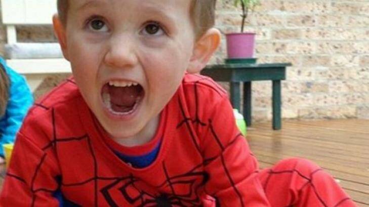 William Tyrrell went missing from his grandmother's home on September 12 last year. Photo: Supplied