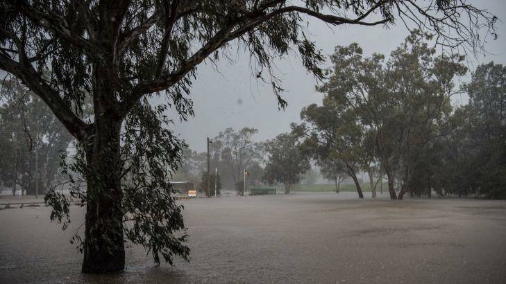 A heavy shower of rain over flooded Lake Forbes Photo: Wolter Peeters