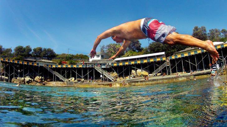 Cooling off: Miles Chappell of Maroubra dives into Wylie's Baths at Coogee. Photo: Dallas Kilponen