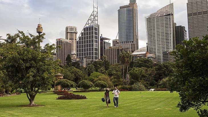 Different views: The master plan for the Royal Botanic Gardens and Domain has caused discord. Photo: Damian Shaw