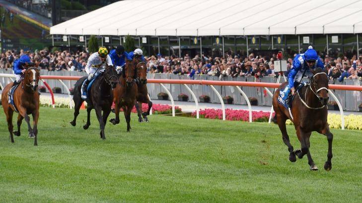 No contest: Winx trailed by Hartnell and Yankee Rose in the Cox Plate. Photo: Vince Caligiuri