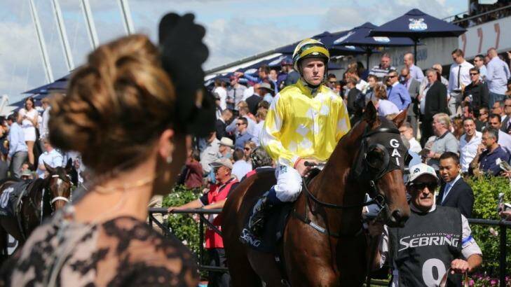 Emotional meeting: Tommy Berry rides Bull Point to the start of the Sebring Stakes at Rosehill on Saturday. Photo: Anthony Johnson