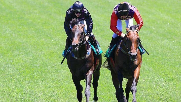 Carlton House (right), seen here in an exhibition gallop with Fiorente, has been made favourite for the $4 million highlight of The Championships. Photo: Jenny Evans