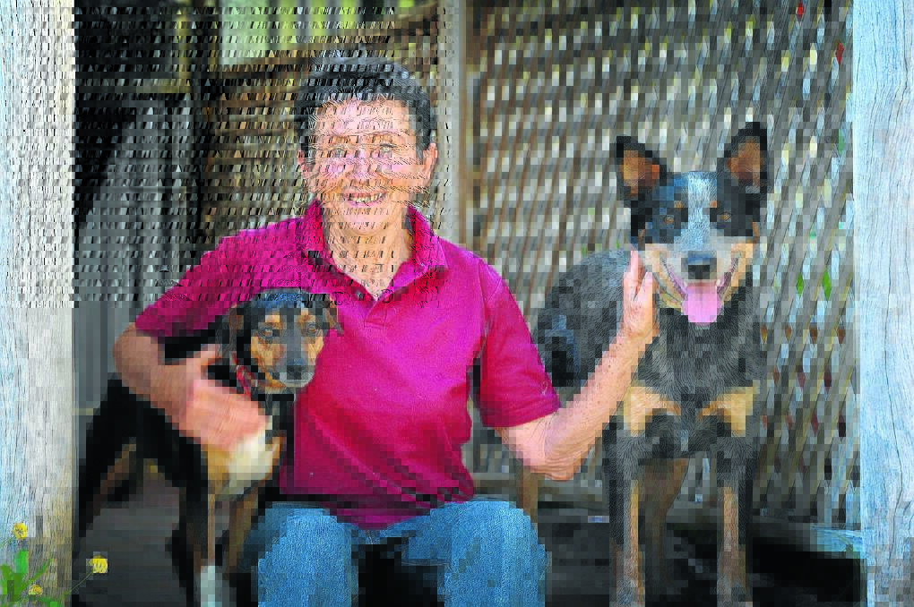 ANIMAL SAVIOUR: Jean Medlock with Sam and Lucy, both rescued dogs and now her pets. Photo: Geoff O Neill 071014GOE01