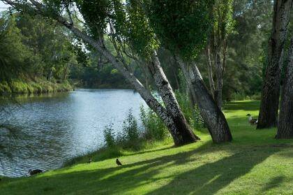 Fancy a dip? Officials want Parramatta River cleaned u for swimming Photo: Wolter Peeters