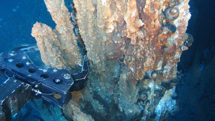 A remotely operated robotic arm breaks away part of a mineral rich "chimney" from a hydrothermal vent in prospecting in the Bismarck Sea, off PNG. Early life might have started somewhere like this.   Photo: Nautilus Minerals