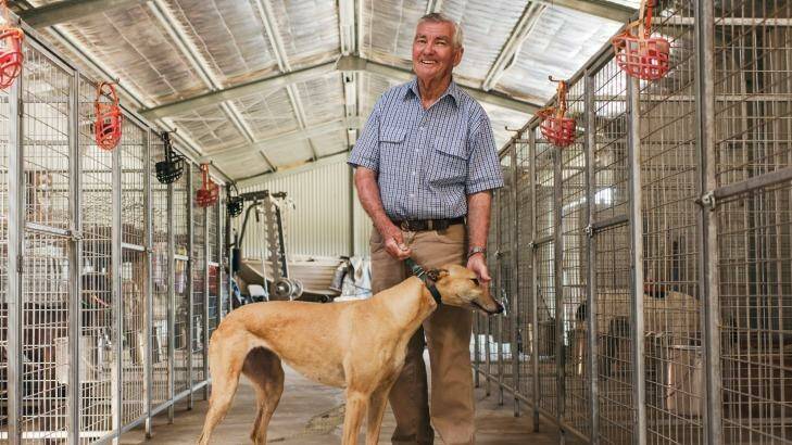 Greyhound breader and trainer Greg Board on his property just south of Orange. Photo: James Brickwood