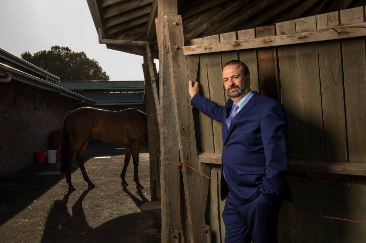 Portrait of Peter V'landys, the man behind The Everest horse race held at Randwick Racecourse this weekend. 13th October 2017, Photo: Wolter Peeters, The Sydney Morning Herald.