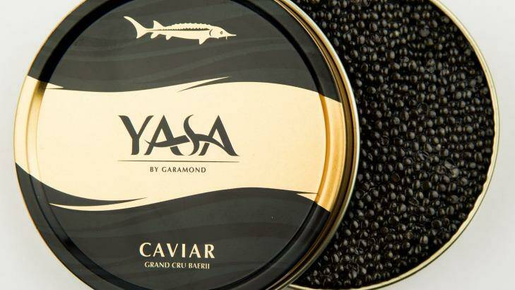 Yasa caviar.