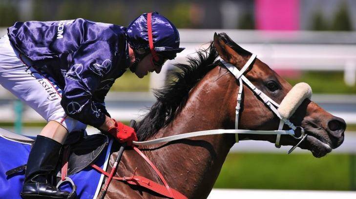 The Pumper: Jim Cassidy winning the Coolmore Stud Stakes on  Zoustar at Flemington last month. Photo: Pat Scala