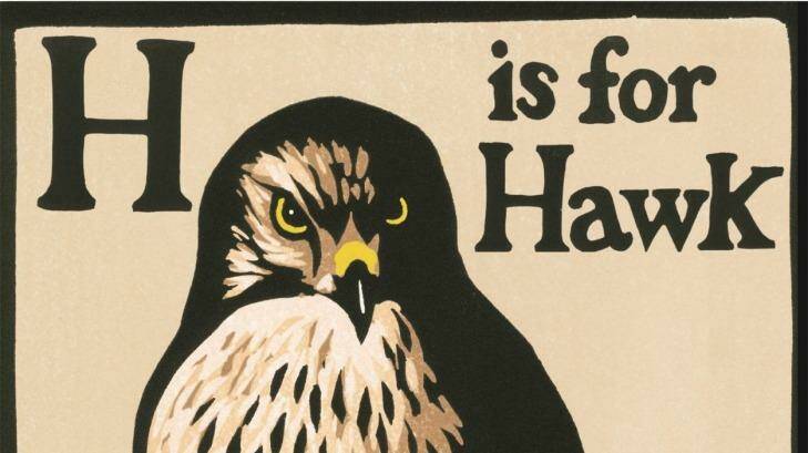 H Is for Hawk by Helen Macdonald, Jonathan Cape, $34.99 Photo: Susan Wyndham