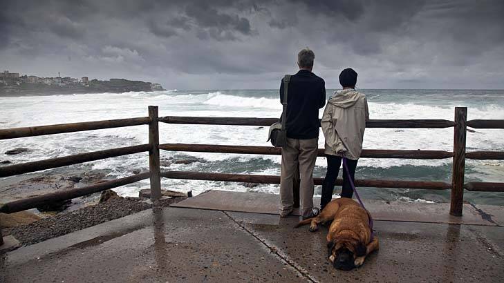 Sea for yourself: Overcast skies and stormy waves make a bleak scene for this couple and their dog at Bronte on Sunday. Photo: Geoff Jones