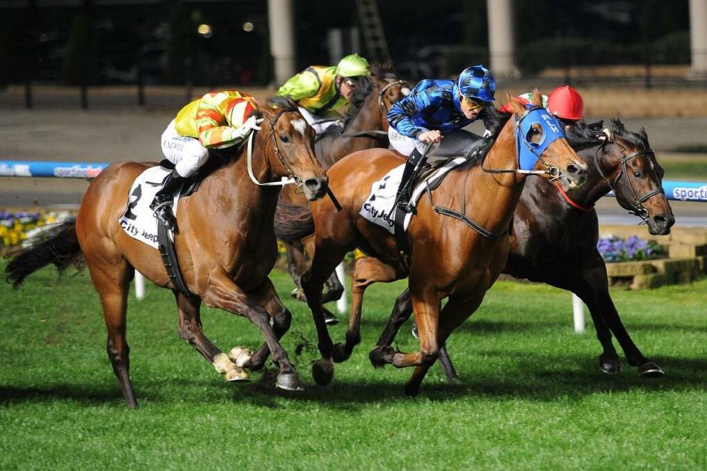 Ready for more: As they did in the Moir Stakes, Buffering (blue hood) will go head-to-head with Lankan Rupee (left) in the Manikato Stakes. Photo: Vince Caligiuri/Getty Images