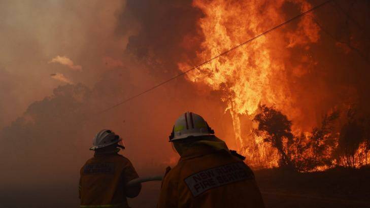 Firefighters face strong winds fanning an out of control fire in Sydney's west. Photo: Nick Moir