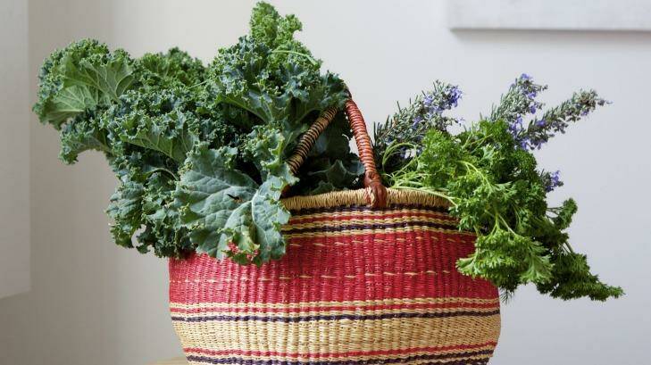 Kale and other leafy greens have a secret ingredient your gut bacteria will love: sugar. Photo: Simon O'Dwyer