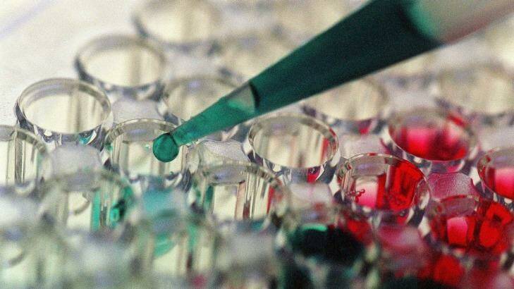 Academics say big business needs to invest more in scientific research. Photo: Jessica Shapiro