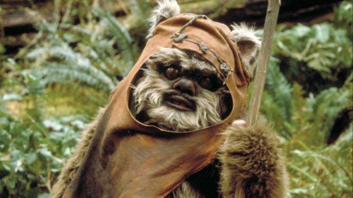 Ewoks will not feature in the upcoming Star Wars: The Force Awakens film. Photo: Supplied