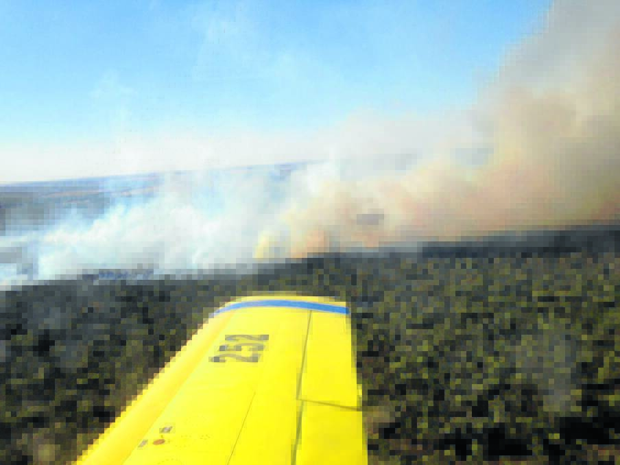 NO THREAT: A waterbomber is working from above to crews on the ground control three fires burning in the Pilliga State Forest near Narrabri. Photos: NSW Rural Fire Servce