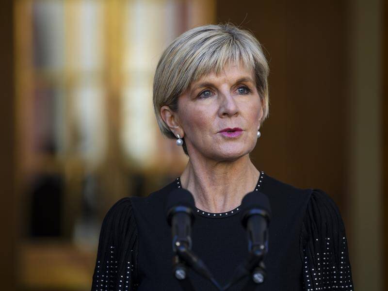 Julie Bishop is standing by PM Malcolm Turnbull, saying he will lead the government to the election.