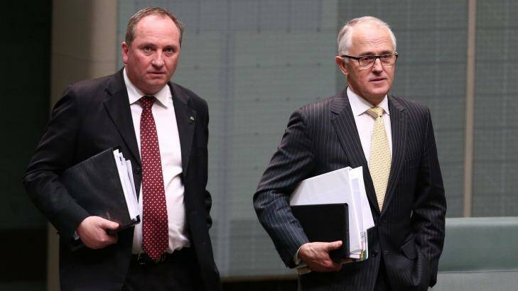Barnaby Joyce could serve as deputy prime minister under Malcolm Turnbull. Photo: Andrew Meares