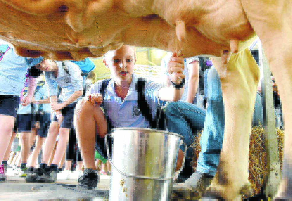 MILKING METHOD: Children got hands-on experience in many aspects of Australian agriculture at the Sydney Royal Easter Show. Photos: Steven Siewert