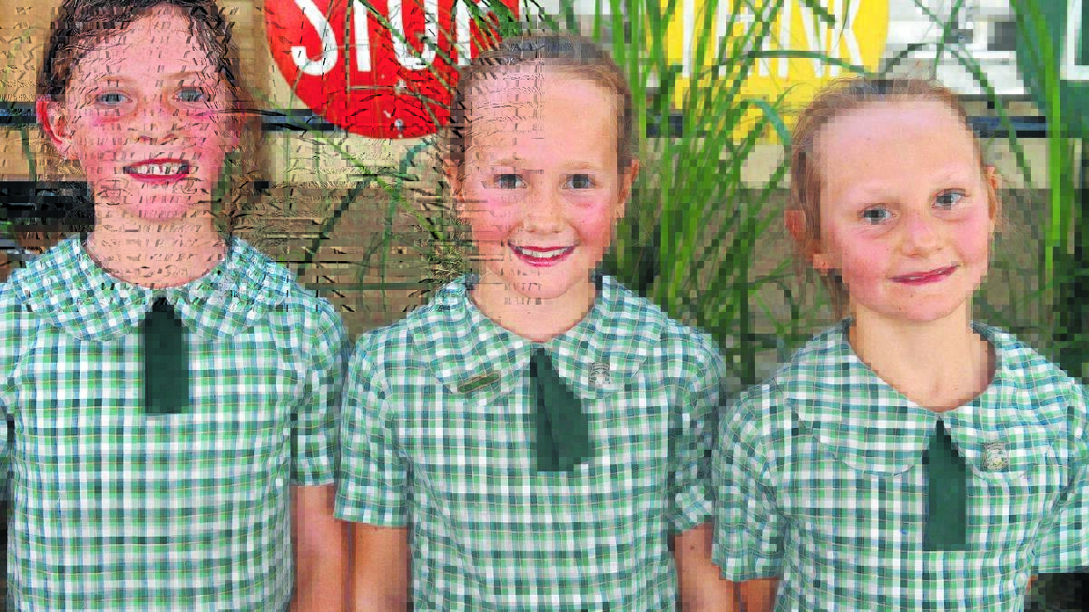 Willow Tree s Emily Wamsley, Katie and Holly Martin will be competing in the Homebush PSSA swimming carnival.