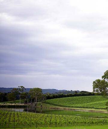 The Adelaide Hills. Photo: John Laurie