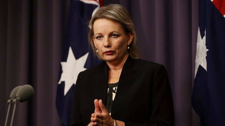 "The Abbott government is committed to working with the mental health sector to deliver effective, efficient and high-quality services": Sussan Ley. Photo: Andrew Meares