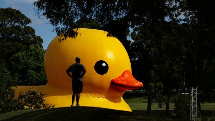 Florentijn Hofman's giant Rubber Duck was a feature of the 2013 and 3014 Sydney Festivals. Photo: Kate Geraghty