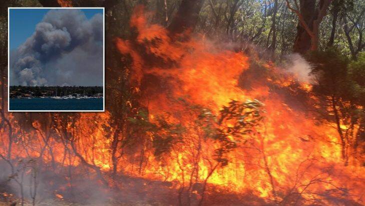Royal National Park closed as bushfire burns near Wattamolla