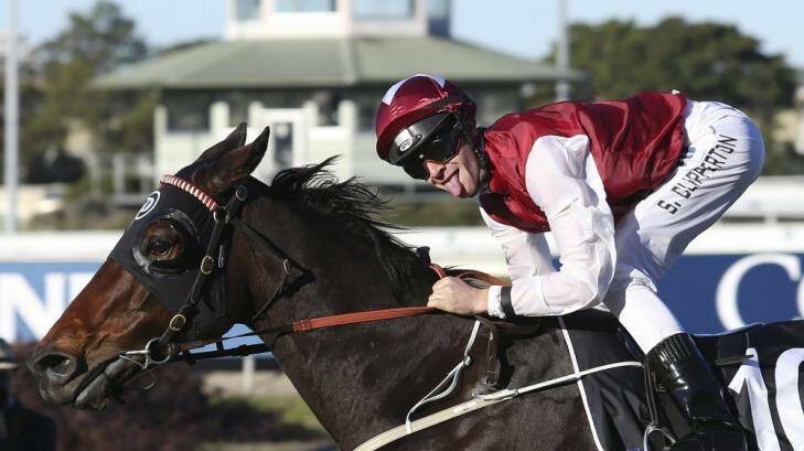 Has them licked: Sam Clipperton celebrates victory on Generalife at Rosehill on Saturday. Photo: Damian Shaw
